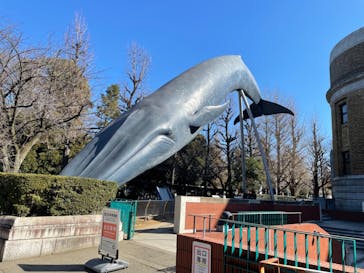 国立科学博物館に投稿された画像（2022/2/5）