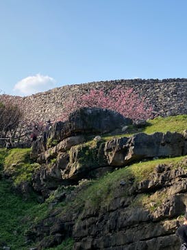 今帰仁城跡に投稿された画像（2022/2/5）