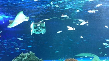 サンシャイン水族館に投稿された画像（2022/2/6）