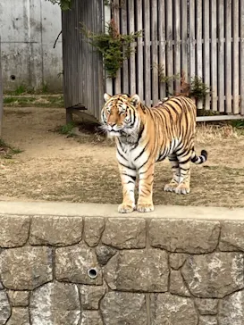 天王寺動物園に投稿された画像（2022/2/6）
