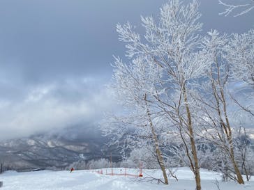 志賀高原マウンテンリゾートに投稿された画像（2022/2/6）
