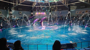 マクセル アクアパーク品川に投稿された画像（2022/2/6）