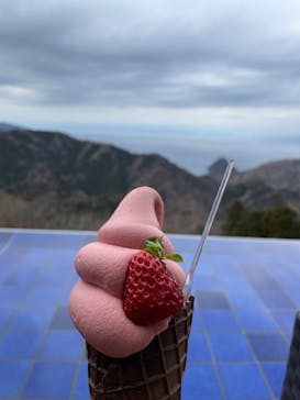 伊豆パノラマパークに投稿された画像（2022/2/6）