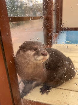 ゼロ距離水族館 伊勢シーパラダイスに投稿された画像（2022/2/6）