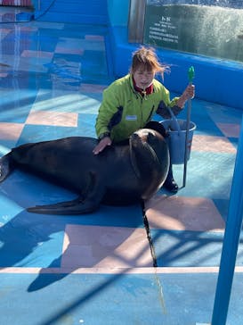 ゼロ距離水族館 伊勢シーパラダイスに投稿された画像（2022/2/6）