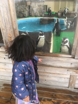 名古屋港水族館に投稿された画像（2022/2/6）