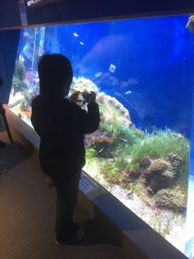 名古屋港水族館に投稿された画像（2022/2/6）