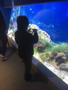 名古屋港水族館に投稿された画像（2022/2/6）