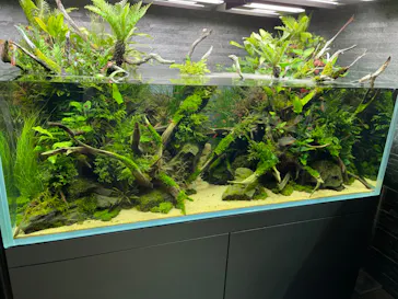 すみだ水族館に投稿された画像（2022/2/6）