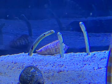 名古屋港水族館に投稿された画像（2022/2/6）