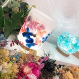 ずこうしつ〜sugamo〜に投稿された画像（2022/2/6）