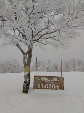 野沢温泉スキー場に投稿された画像（2022/2/6）