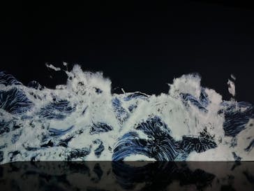 森ビル デジタルアート ミュージアム：エプソン チームラボボーダレスに投稿された画像（2022/2/6）