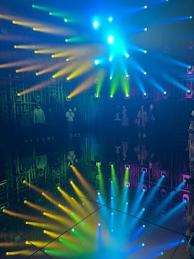 森ビル デジタルアート ミュージアム：エプソン チームラボボーダレスに投稿された画像（2022/2/6）