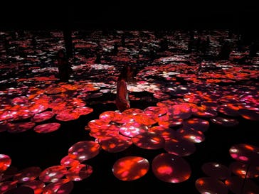 森ビル デジタルアート ミュージアム：エプソン チームラボボーダレスに投稿された画像（2022/2/6）