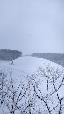 白馬岩岳スノーフィールドに投稿された画像（2022/2/6）