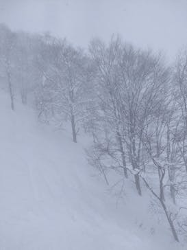 白馬コルチナスキー場に投稿された画像（2022/2/6）