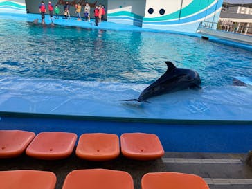 南知多ビーチランド＆南知多おもちゃ王国に投稿された画像（2022/2/6）