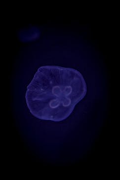 サンシャイン水族館に投稿された画像（2022/2/6）