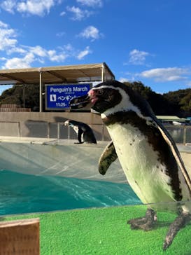 下田海中水族館に投稿された画像（2022/2/6）
