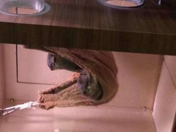 マクセル アクアパーク品川に投稿された画像（2022/2/6）