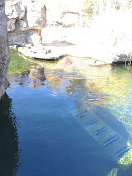 天王寺動物園に投稿された画像（2022/2/6）