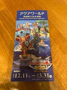 アクアワールド茨城県大洗水族館に投稿された画像（2022/2/6）