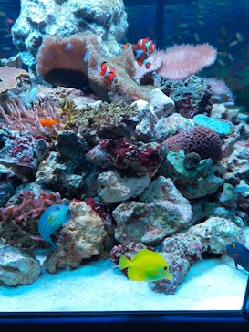 鴨川シーワールドに投稿された画像（2022/2/6）