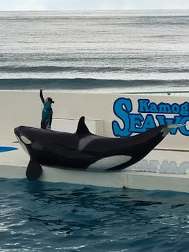 鴨川シーワールドに投稿された画像（2022/2/6）