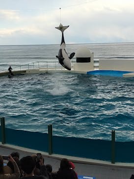 鴨川シーワールドに投稿された画像（2022/2/6）