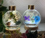 ずこうしつ〜sugamo〜に投稿された画像（2022/2/6）