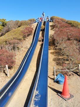 千葉こどもの国 キッズダムに投稿された画像（2022/2/6）