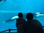 名古屋港水族館に投稿された画像（2022/2/6）