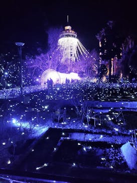 江の島シーキャンドルに投稿された画像（2022/2/6）