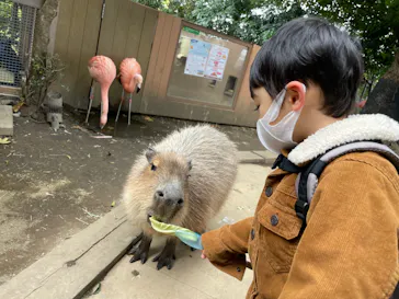 横浜・八景島シーパラダイスに投稿された画像（2022/2/6）
