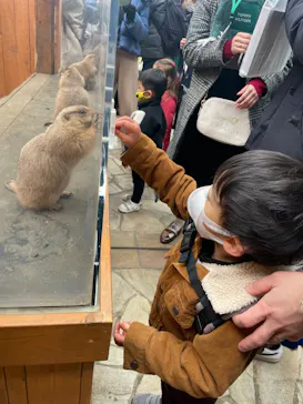 横浜・八景島シーパラダイスに投稿された画像（2022/2/6）