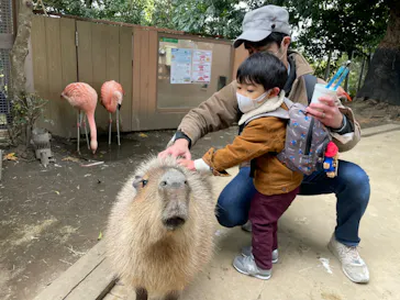 横浜・八景島シーパラダイスに投稿された画像（2022/2/6）