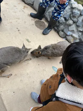 横浜・八景島シーパラダイスに投稿された画像（2022/2/6）
