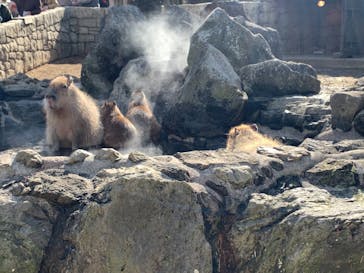 伊豆シャボテン動物公園に投稿された画像（2022/2/6）