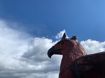 伊豆シャボテン動物公園に投稿された画像（2022/2/6）