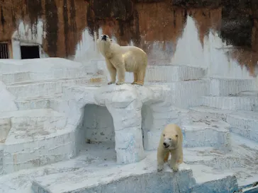 天王寺動物園に投稿された画像（2022/2/6）