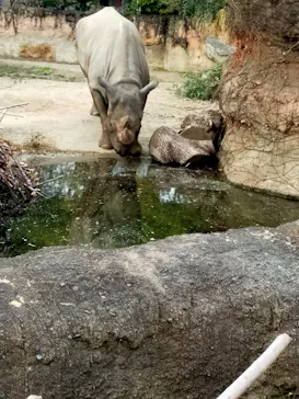 天王寺動物園に投稿された画像（2022/2/6）