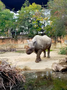 天王寺動物園に投稿された画像（2022/2/6）
