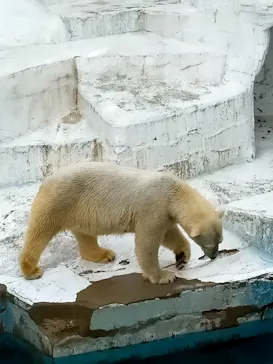 天王寺動物園に投稿された画像（2022/2/6）