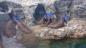 鴨川シーワールドに投稿された画像（2022/2/6）