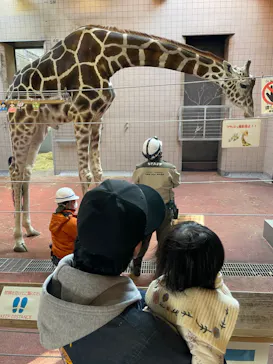 天王寺動物園に投稿された画像（2022/2/6）