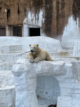 天王寺動物園に投稿された画像（2022/2/6）