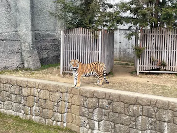 天王寺動物園に投稿された画像（2022/2/6）