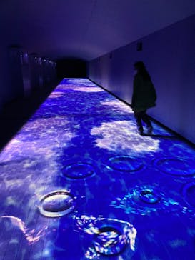 東京メガイルミに投稿された画像（2022/2/6）