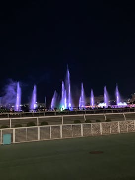 東京メガイルミに投稿された画像（2022/2/6）